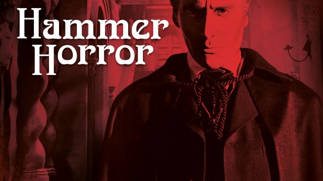 vinylehammerhorror